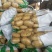 山东泰安新土豆大量上市