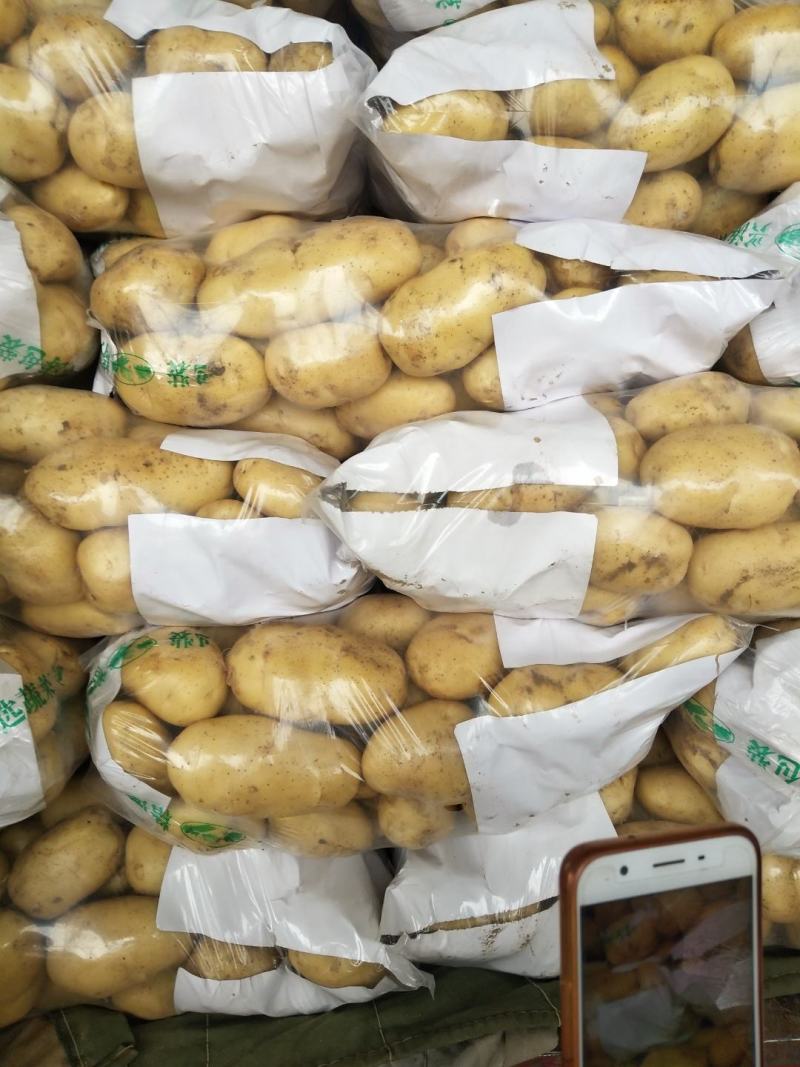 山东泰安新土豆大量上市