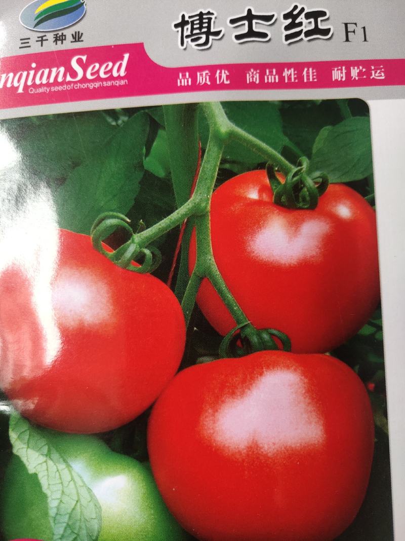 博士红西红柿。杂交一代，早熟。抗病果色鲜艳大红果实齐整