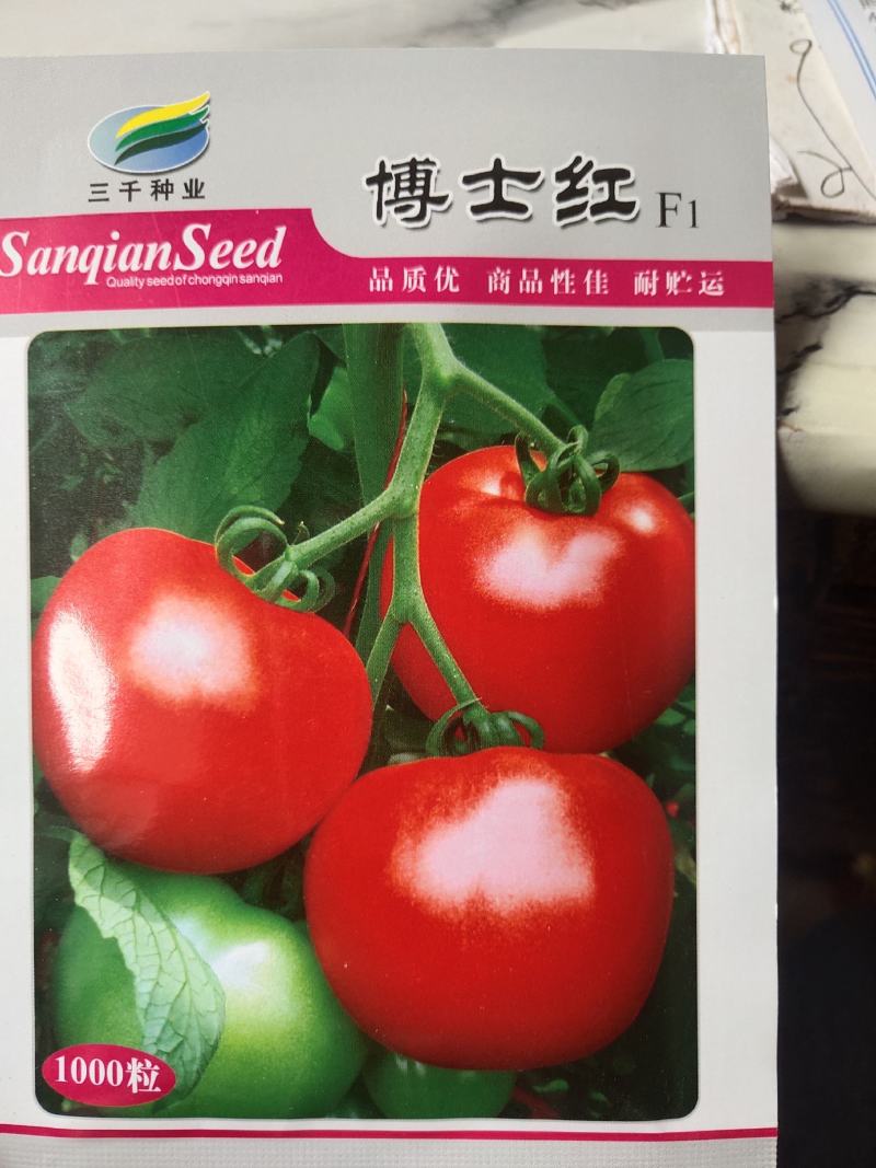 博士红西红柿。杂交一代，早熟。抗病果色鲜艳大红果实齐整