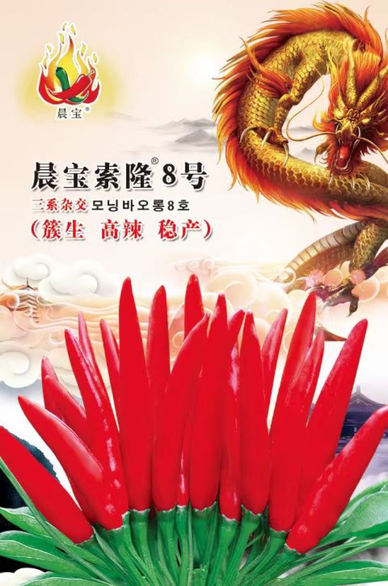 辣椒苗：山东晨宝种苗，自繁自育，自产自销。品种齐全。