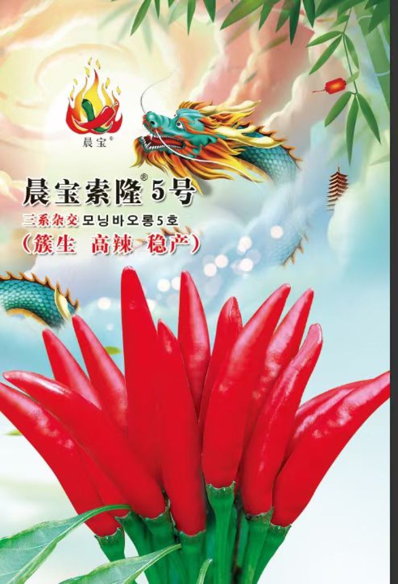 辣椒苗：山东晨宝种苗，自繁自育，自产自销。品种齐全。