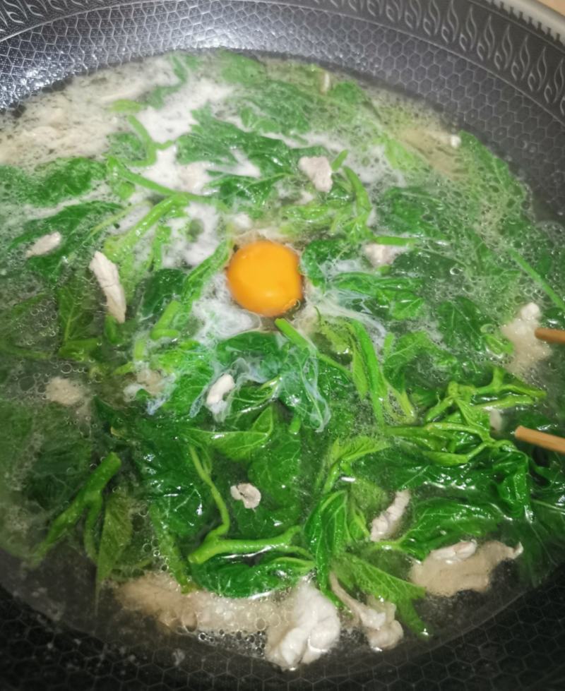 酒店特色食材桑芽菜桑叶