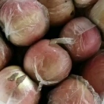 河南虞城富士苹果，口感賊甜，耐运输，欢迎新老客户前来