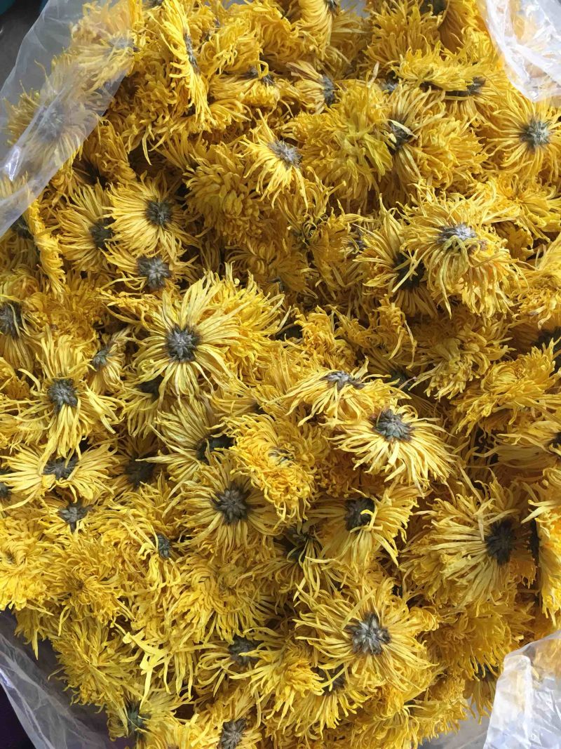 金丝皇菊一级头花散货过筛每件10斤装无虫无彩无末子