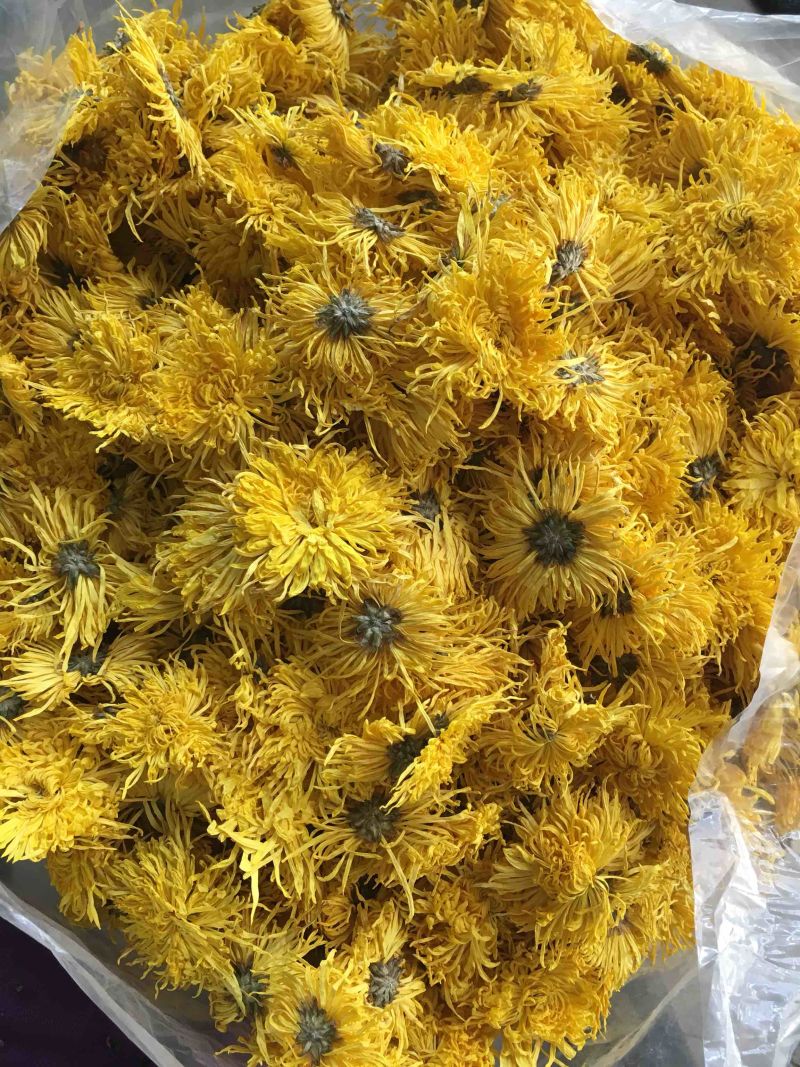 金丝皇菊一级头花散货过筛每件10斤装无虫无彩无末子