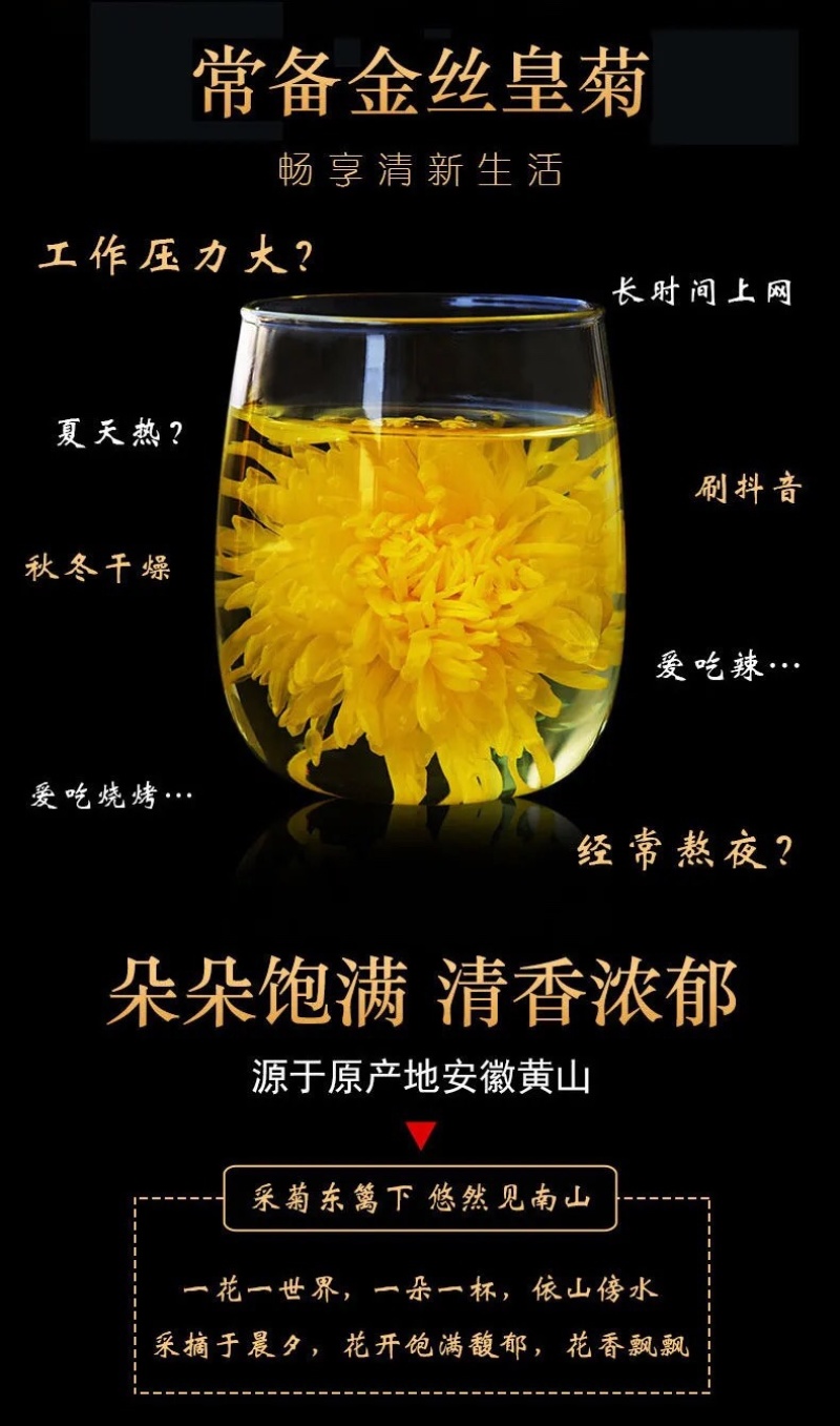 金丝皇菊一级头花散货过筛每件10斤装无虫无彩无末子