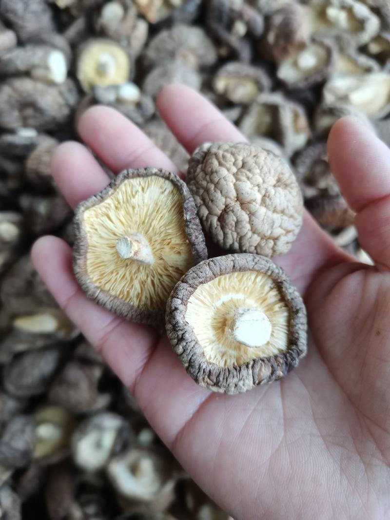 干香菇大小规格电商食品厂混货原产地货源支持批发