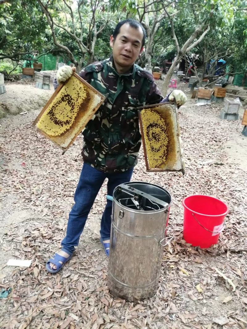 龙眼蜜