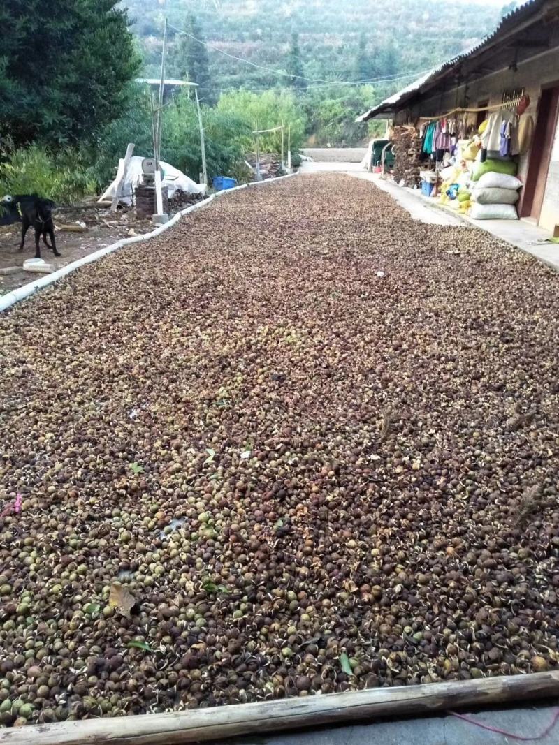 山茶油（赣南特产，纯油）