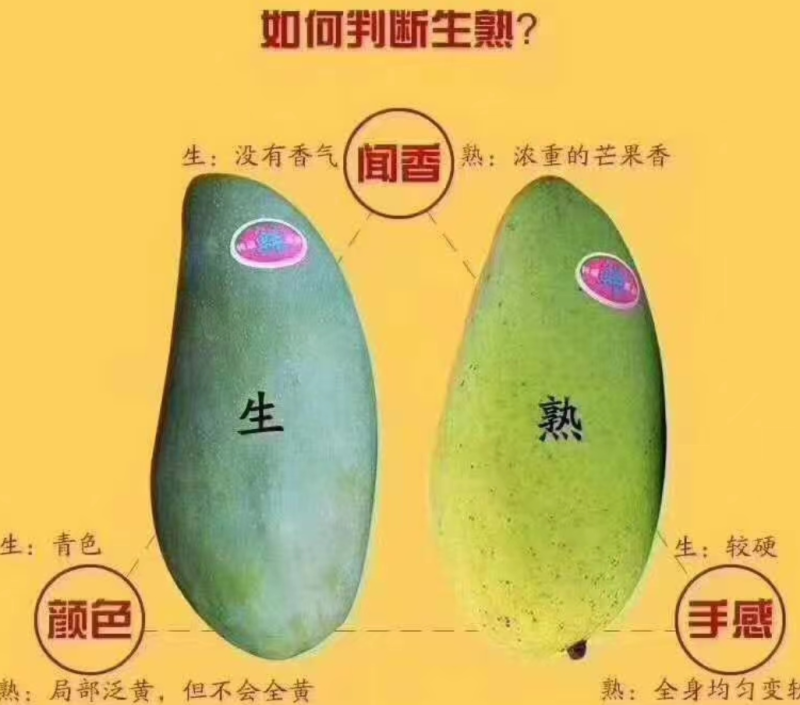 【椰香芒果】四川精品芒果皮薄肉厚香甜多汁支持视频看货