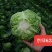 绿奇6号西蓝花种子耐热耐寒抗性强蕾粒匀花球圆绿