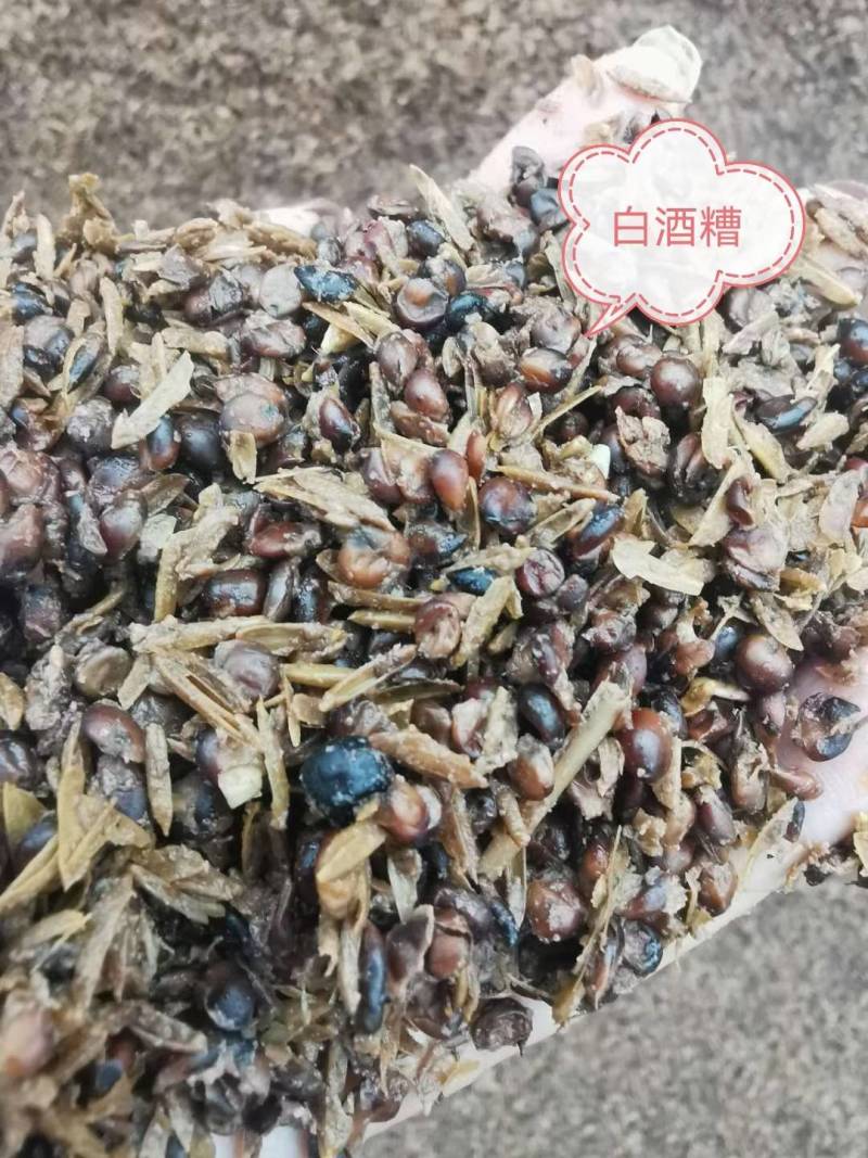 酒糟