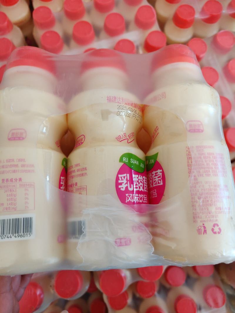 厂家直销达利园乳酸菌益生菌胃动力同款饮料夏季热卖