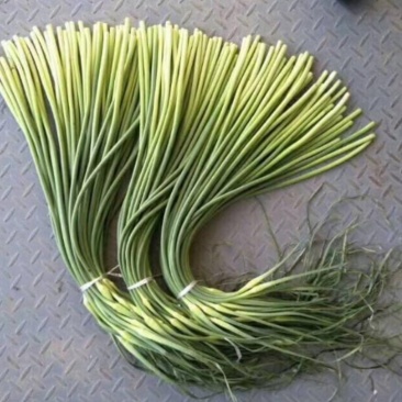 白帽蒜薹（射阳手拔蒜苔）