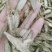 宽筋藤，宽筋藤片质量保证，经营各种中药材欢迎咨询合作！