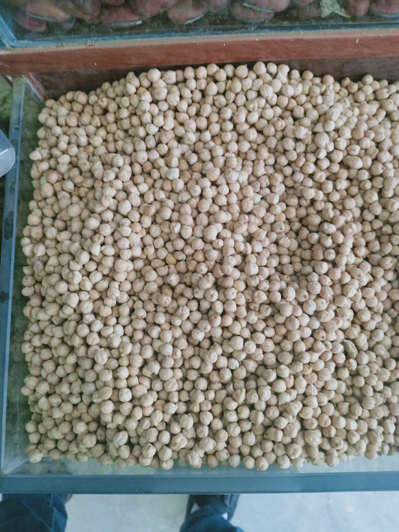鹰嘴豆，新疆野生天麻子，鹰嘴豆质量上乘欢迎咨询合作！