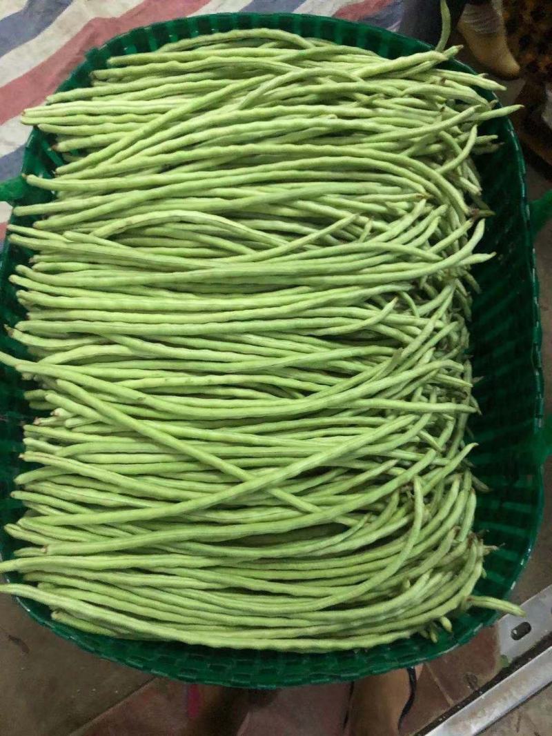 油豆角甜豆角。。。。