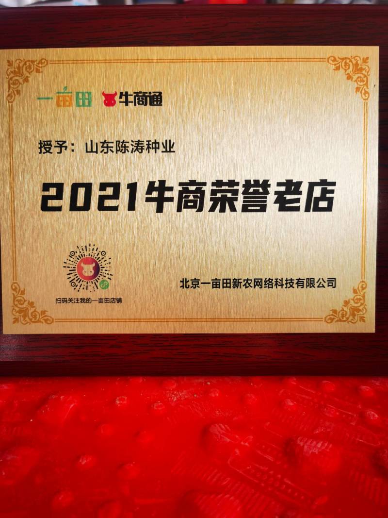 辣椒苗，蒜乡红辣椒苗，朝天椒苗三樱椒苗，螺丝椒苗