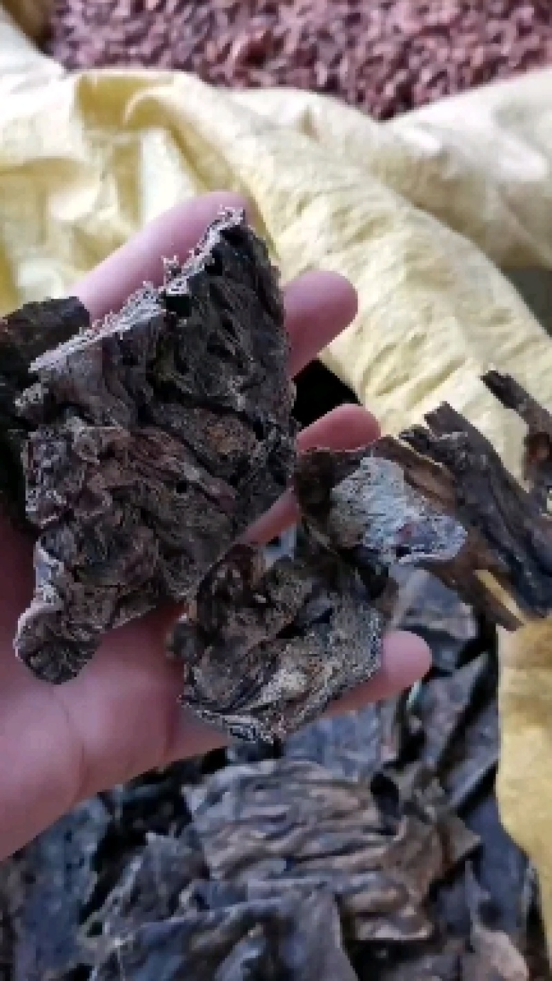 蟾皮无硫干蟾皮又叫癞蛤蟆皮实拍图一斤起包邮