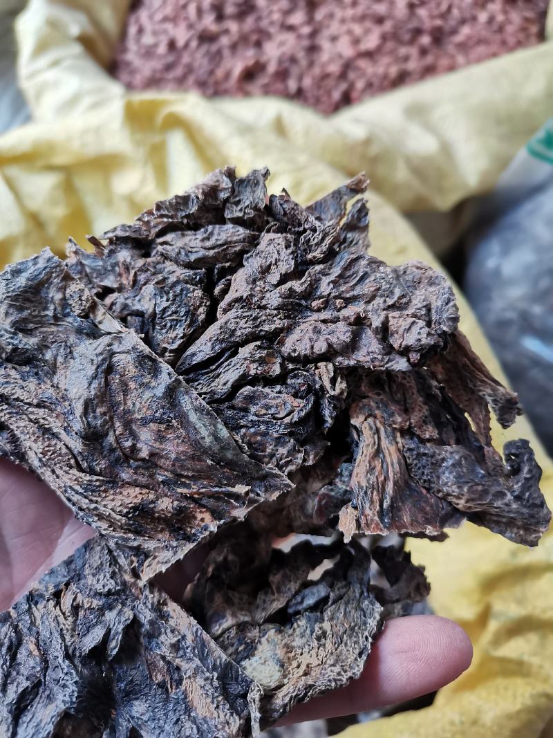 蟾皮无硫干蟾皮又叫癞蛤蟆皮实拍图一斤起包邮