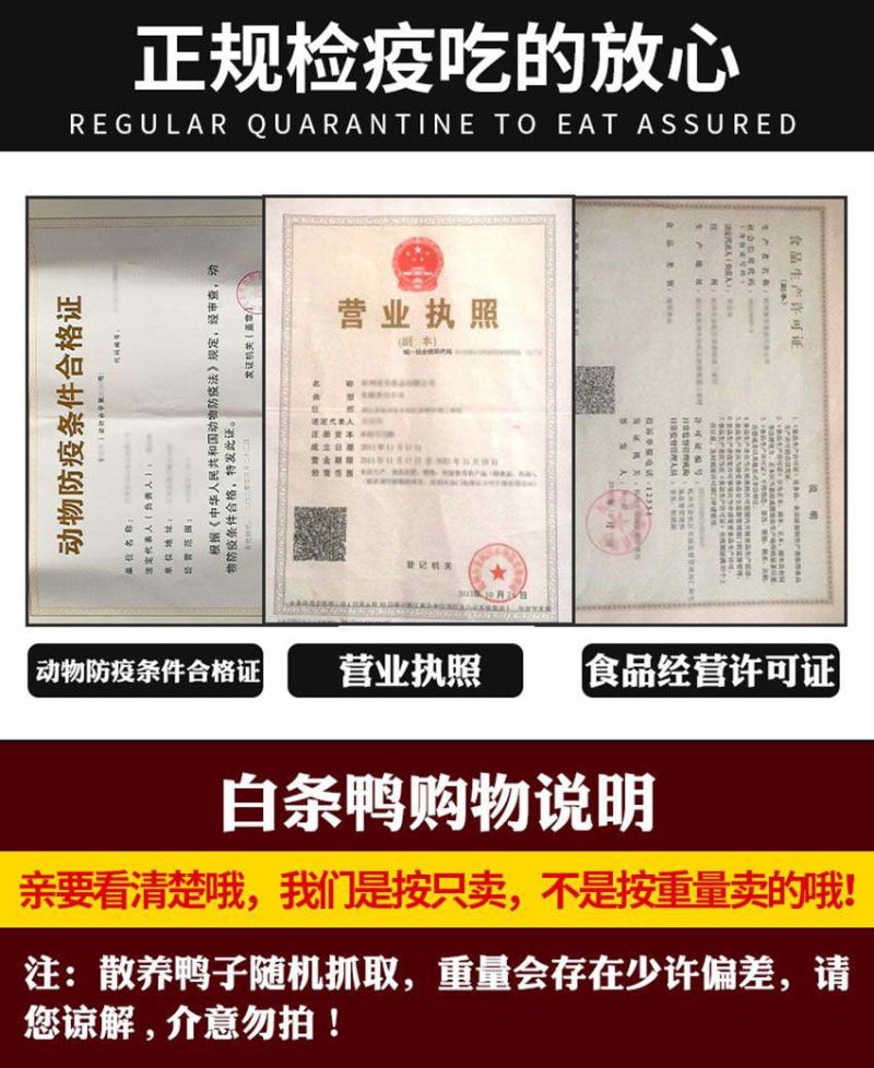 鸭子新鲜嫩鸭2斤整只冷冻鸭肉批发大白鸭生鸭白条鸭