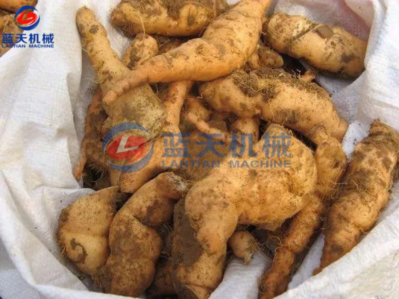 中药材烘干机三七烘干机地黄烘干机药材烘干切片一体机