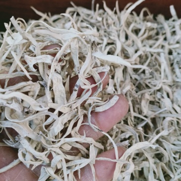 雪茶，西藏野生白雪茶质量保证，欢迎咨询合作！