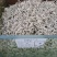 雪茶，西藏野生白雪茶质量保证，欢迎咨询合作！