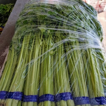 山芹精品，通货以质论价。欢迎来电。联系。