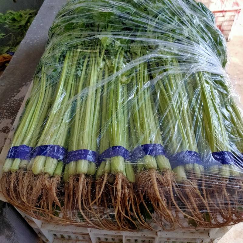 山芹精品，通货以质论价。欢迎来电。联系。