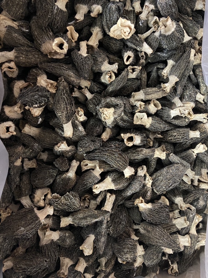 羊肚菌厚肉足干口感好新貨炖汤配料营养成分丰富