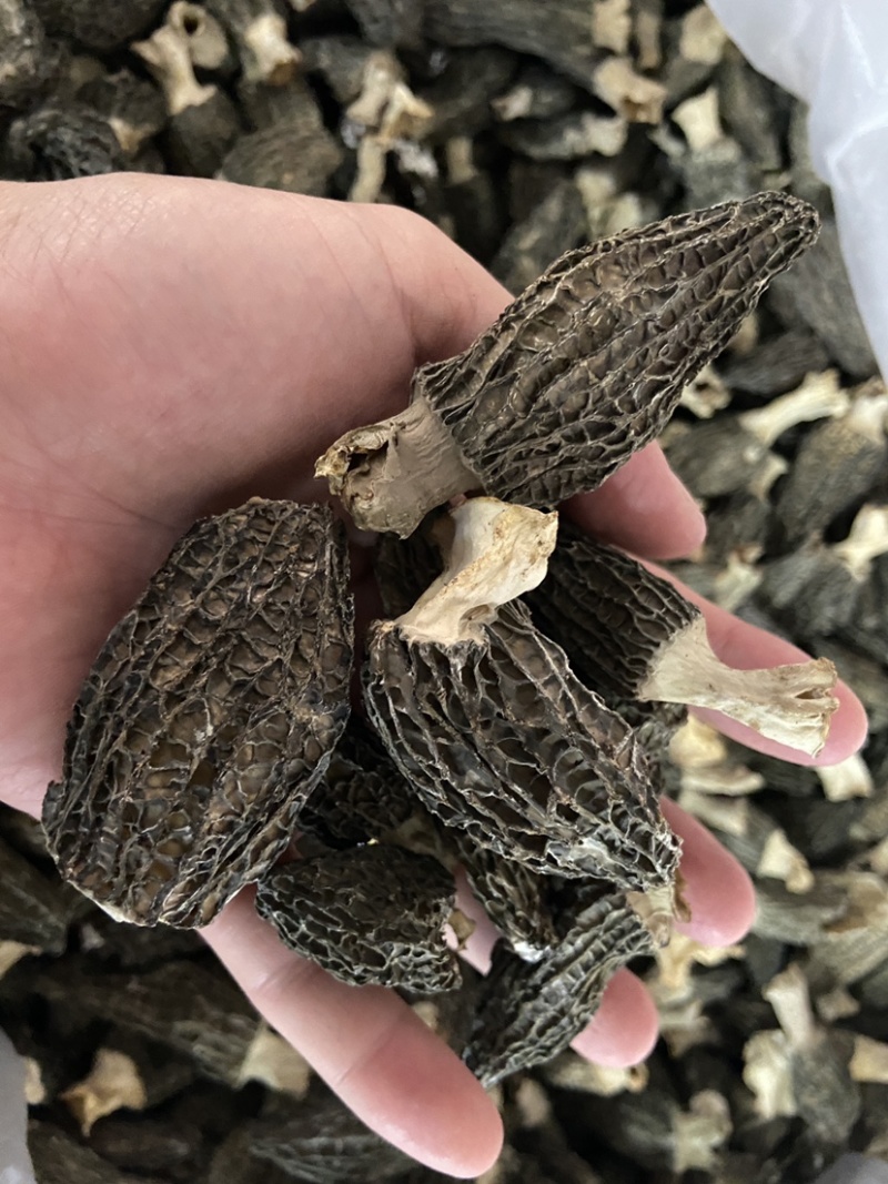 羊肚菌厚肉足干口感好新貨炖汤配料营养成分丰富