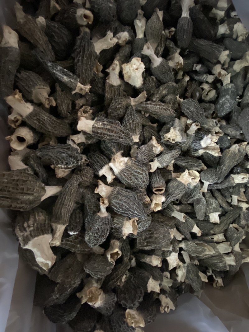 羊肚菌厚肉足干口感好新貨炖汤配料营养成分丰富