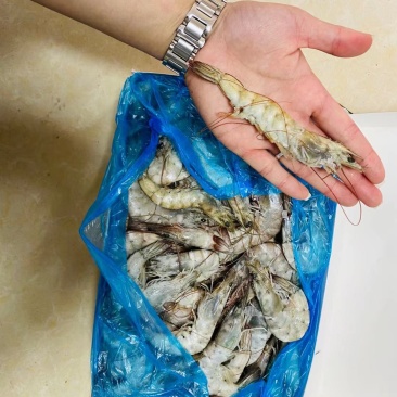 大虾，国产大虾，进口大虾
