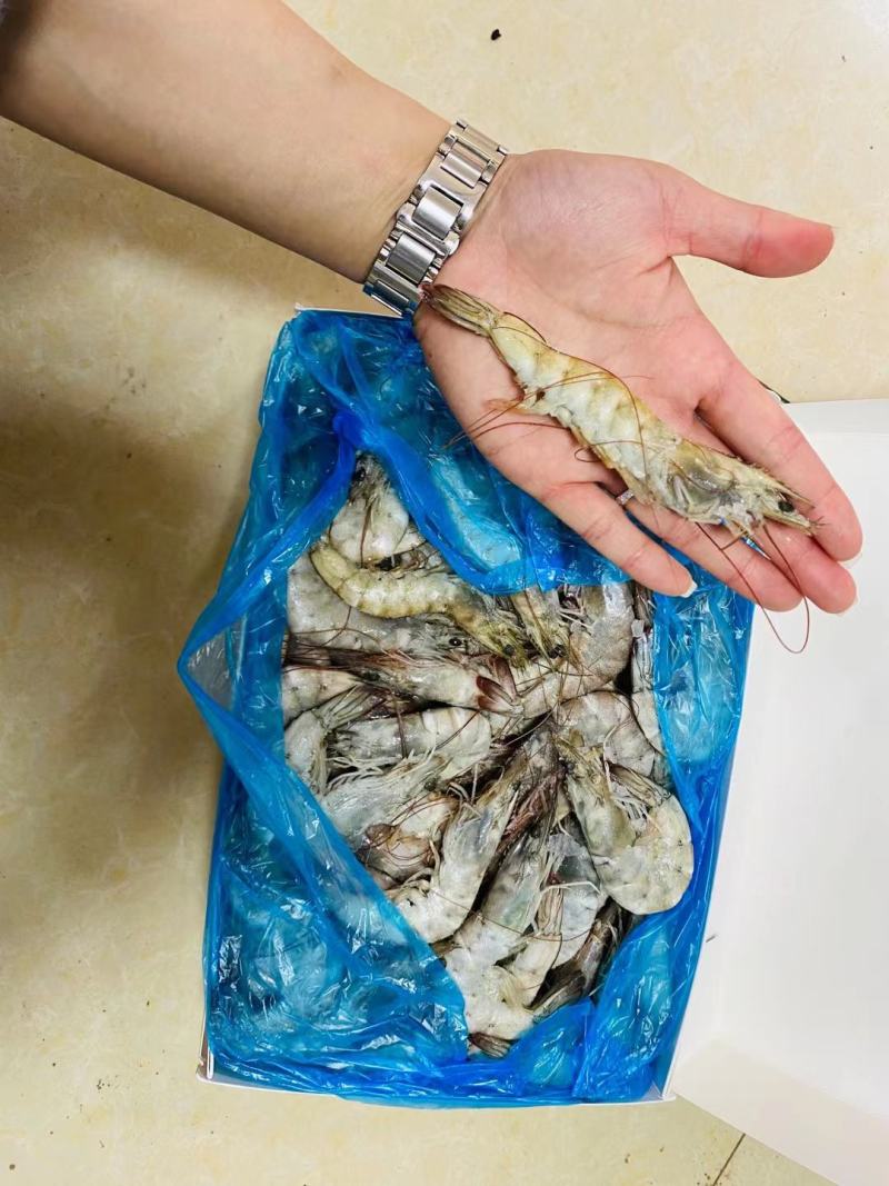 大虾，国产大虾，进口大虾