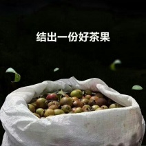 小茶仔茶油