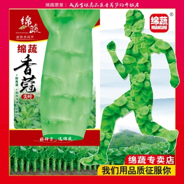 绵蔬香蒄/香莴笋种子/莴苣/蔬菜种子/绵蔬种业/耐热莴笋