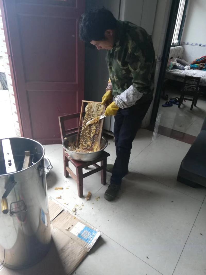 散养的正宗土蜂蜜和山上的野蜂蜜没有增加任何东西