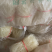 豌豆粉丝宝鸡豌豆粉丝