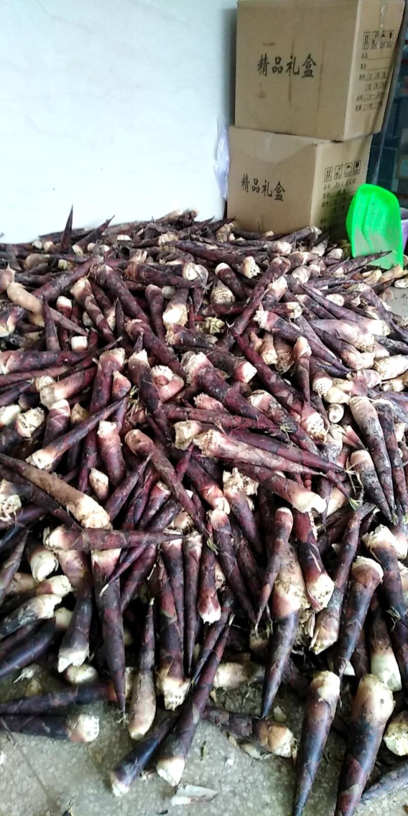 羊毛笋大量供应，可以挑选货每天现货………