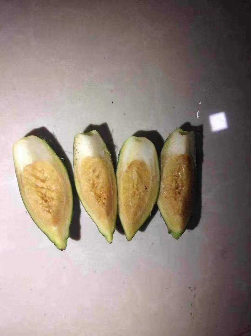 缅甸槟榔