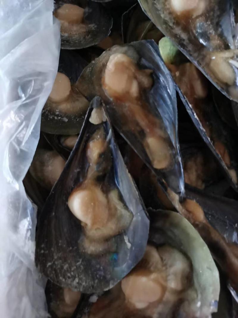 海鲜半壳带子冷冻贝类绿贝带子烧烤水产海鲜