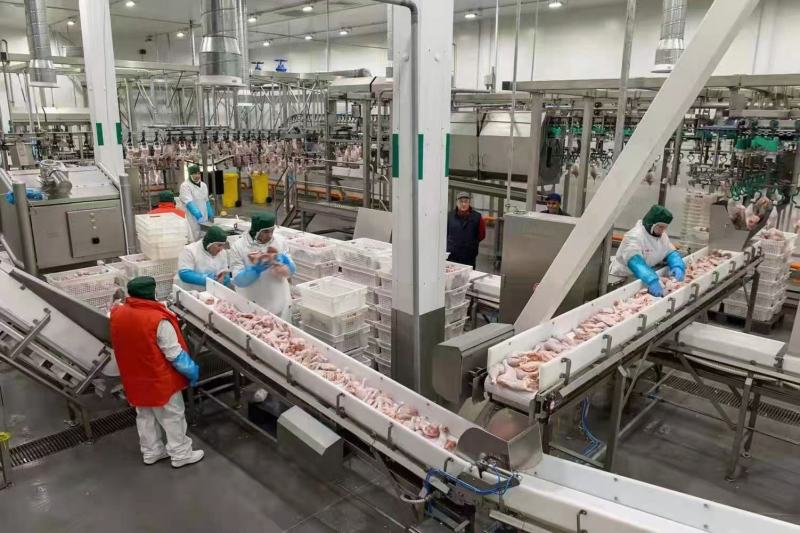 巴西直采35—45克凤爪