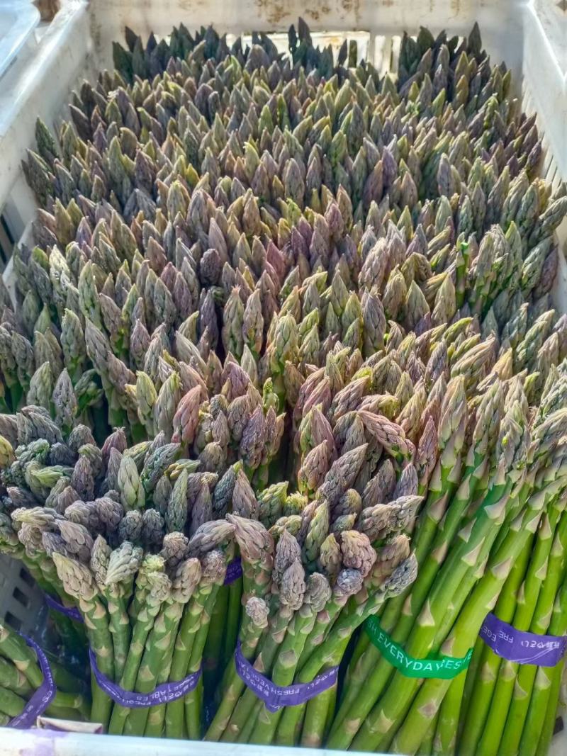优质芦笋基地直发新鲜采摘，保质保量量大从优