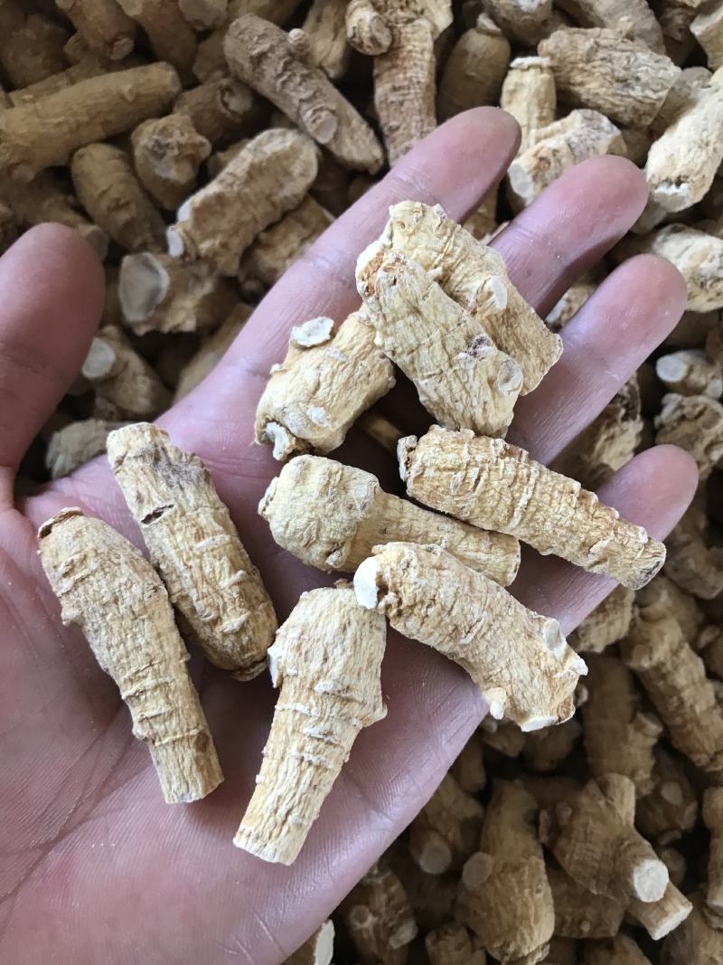 加拿大进口西洋参粒头精选软质花旗参1克2克5克西洋参片粉