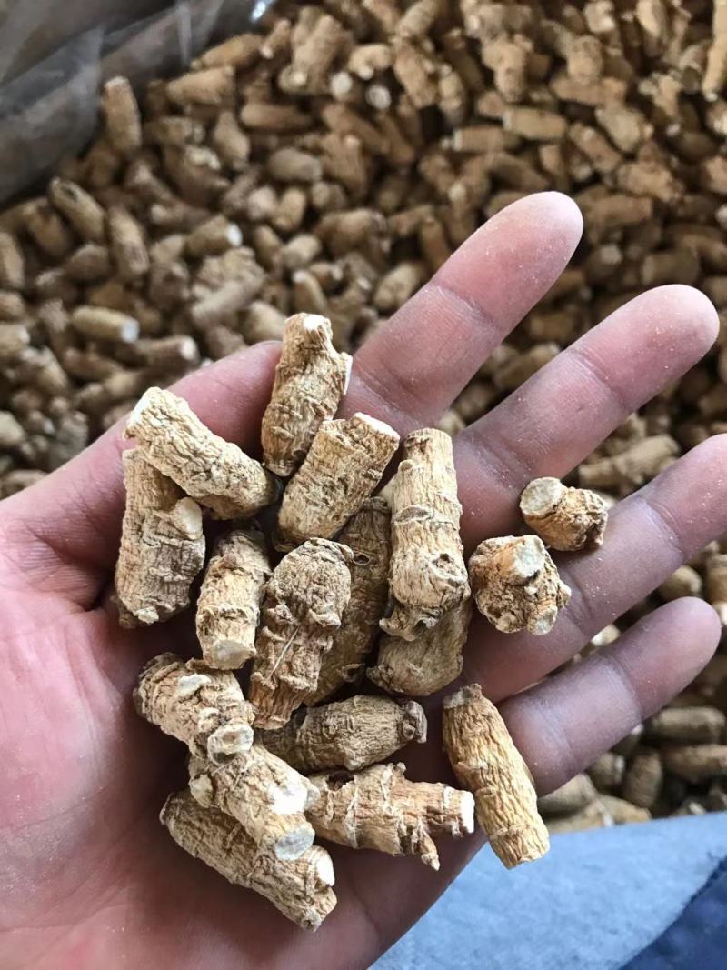 加拿大进口西洋参粒头精选软质花旗参1克2克5克西洋参片粉