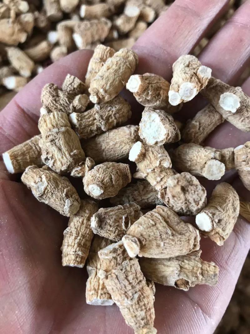 加拿大进口西洋参粒头精选软质花旗参1克2克5克西洋参片粉