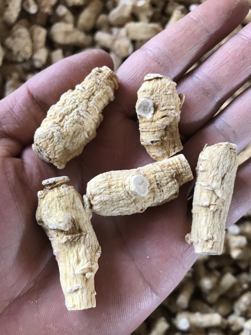 加拿大进口西洋参粒头精选软质花旗参1克2克5克西洋参片粉