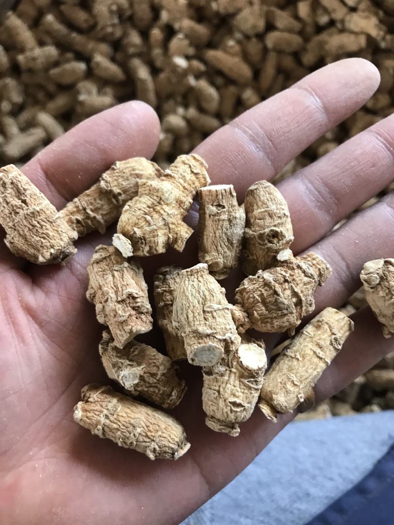 加拿大进口西洋参粒头精选软质花旗参1克2克5克西洋参片粉